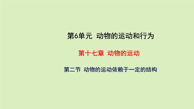 第十七章动物的行动 17.2动物的运动依赖于一定的结构 PPT课件01