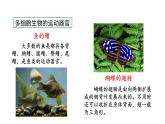 第十七章动物的行动 17.2动物的运动依赖于一定的结构 PPT课件