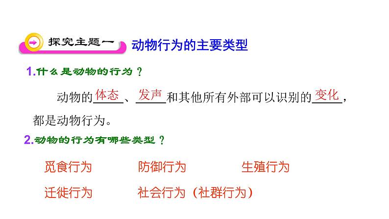 第十八章动物的行为 18.1动物行为的主要类型 PPT课件02