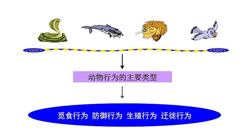 第十八章动物的行为 18.1动物行为的主要类型 PPT课件04