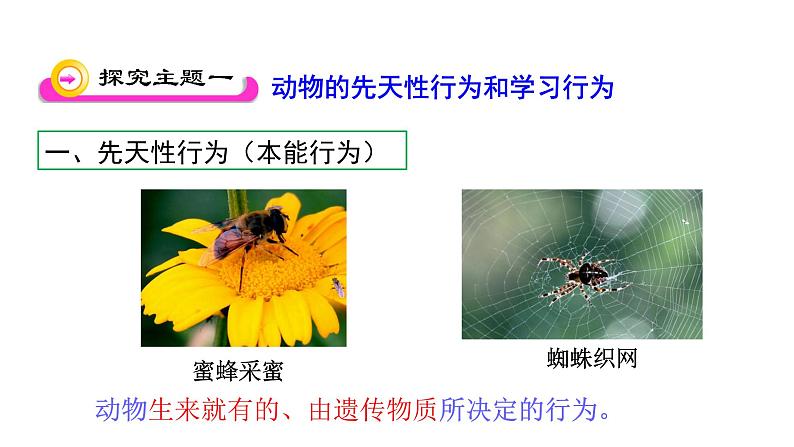 第十八章动物的行为 18.2动物行为的生理基础 PPT课件06