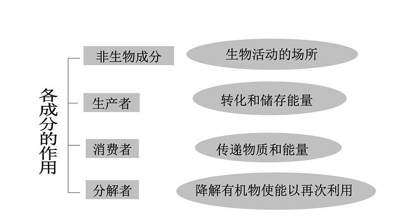 第十九章生态系统 19.1生态系统的组成 PPT课件05