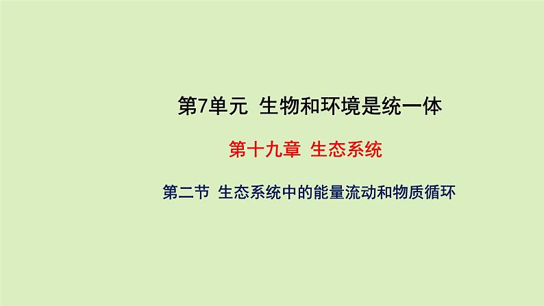 第十九章生态系统 19.2生态系统中的能量流动和物质循环 PPT课件01