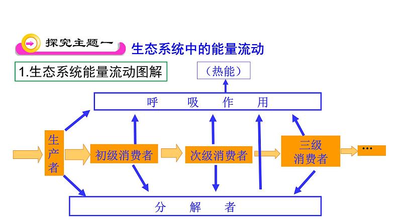 第十九章生态系统 19.2生态系统中的能量流动和物质循环 PPT课件03