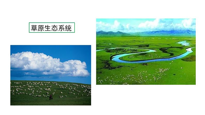 苏教版八年级上册生物20.1生物圈中的各种生态系统课件(共29张PPT)第4页