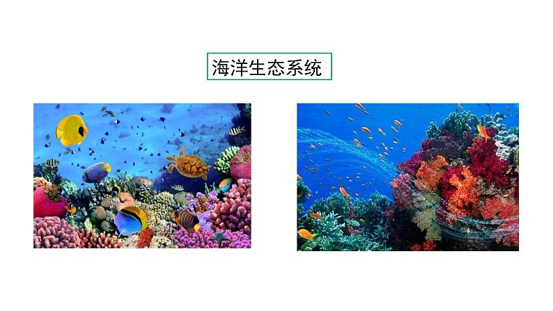 苏教版八年级上册生物20.1生物圈中的各种生态系统课件(共29张PPT)第6页