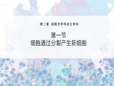 人教版七年级上第二单元第二章第一节——细胞通过分裂产生新细胞课件PPT