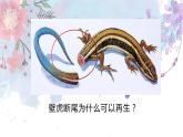 人教版七年级上第二单元第二章第一节——细胞通过分裂产生新细胞课件PPT