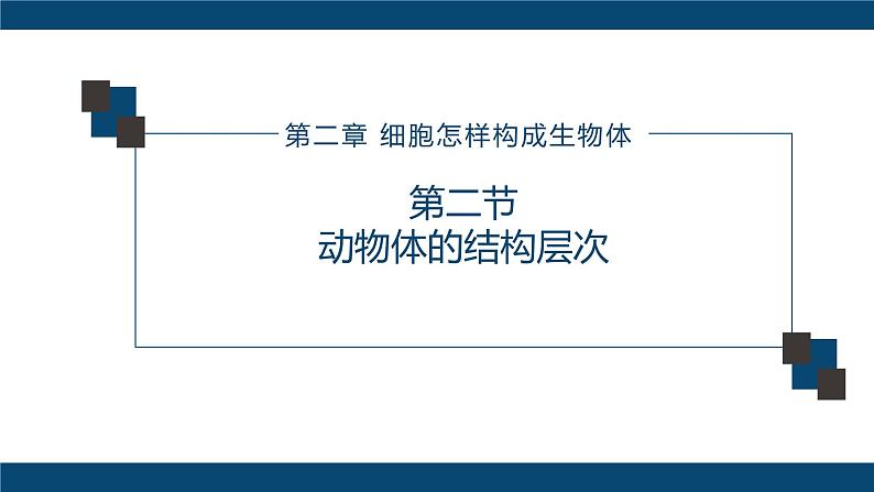 人教版七年级上第二单元第二章第二节—动物体的结构层次课件PPT01