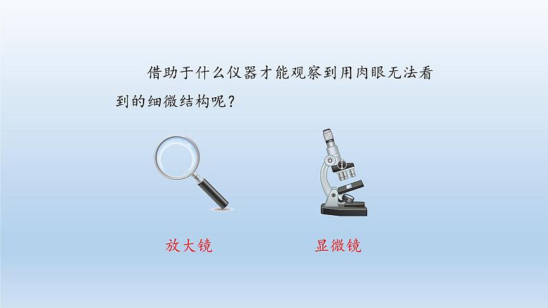 第一章开启生物科学之门：1.1 走进生物实验室  PPT课件06