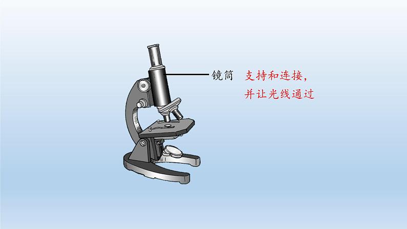 第一章开启生物科学之门：1.1 走进生物实验室  PPT课件08
