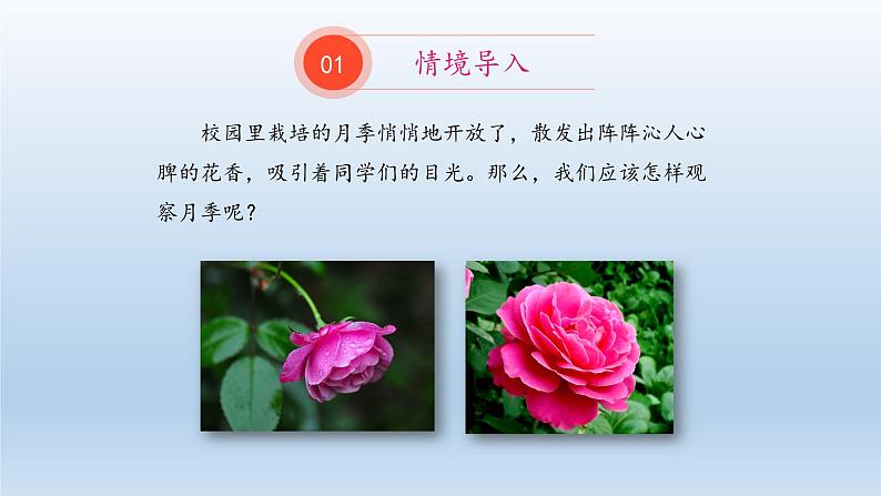 第一章开启生物科学之门：1.2 学会观察  PPT课件第2页