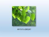 第一章开启生物科学之门：1.4 学习探究  PPT课件