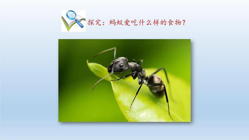 第一章开启生物科学之门：1.4 学习探究  PPT课件07