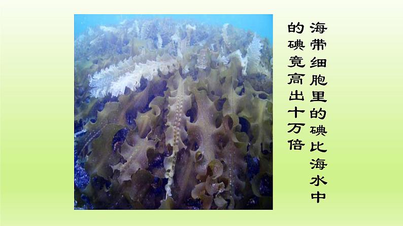 第二章生物体的结构层次：2.1.3 细胞各部分的功能  PPT课件05