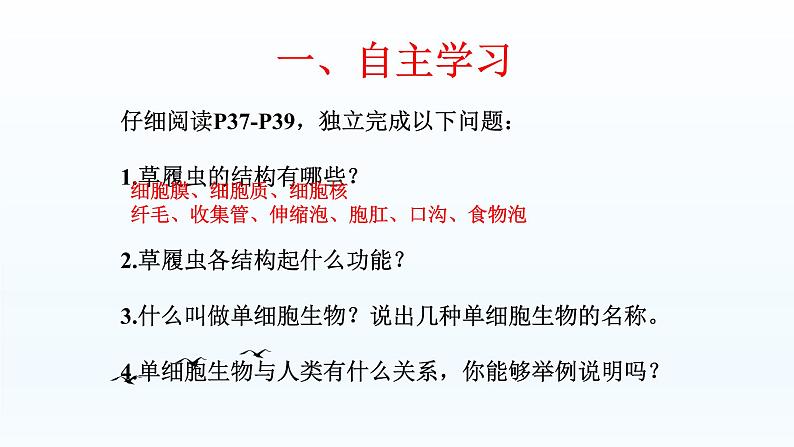 第二章生物体的结构层次：2.4 单细胞生物体  PPT课件05