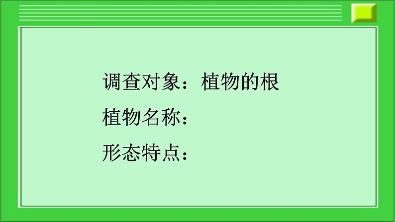 第三章形形色色的植物：3.1 在实验室里观察植物  PPT课件02