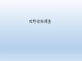 第四章多种多样的动物：4.1 田野动物调查  PPT课件