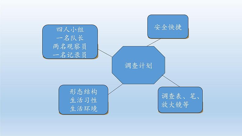 第四章多种多样的动物：4.1 田野动物调查  PPT课件第6页