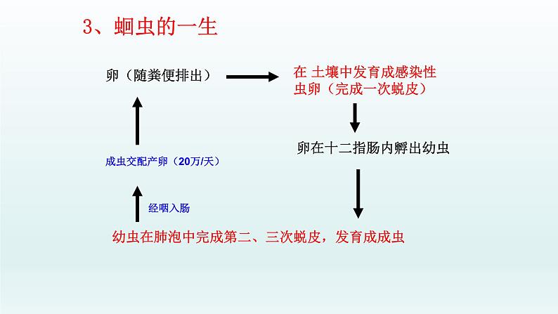 第四章多种多样的动物：4.3 线形动物和环节动物  PPT课件05