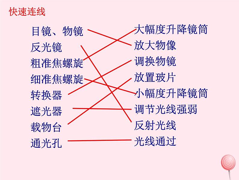 第一章认识生命现象 第4节生物学的研究工具 PPT课件第7页