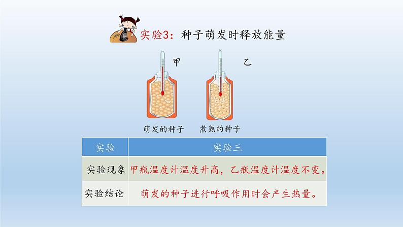 第一章生物圈中的绿色植物 第4节绿色植物的呼吸作用  PPT课件08