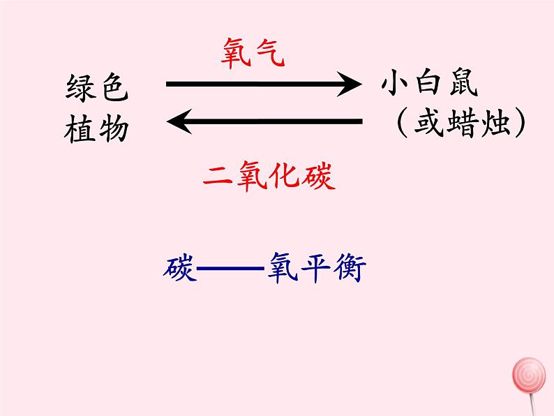 第一章生物圈中的绿色植物 第5节绿色植物在生物圈中的作用 PPT课件07