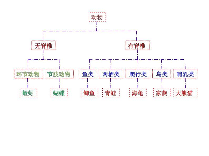 第四章生物的分类 第1节生物的分类 PPT课件05