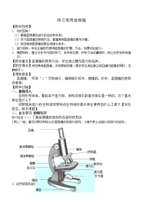 初中生物苏科版七年级上册第2节 生物学的基本研究方法教学设计