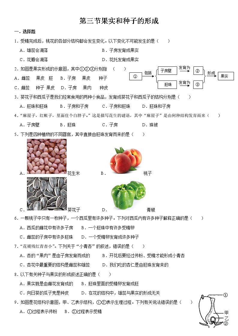 4.1.3 果实和种子的形成 同步练习（含答案）第1页