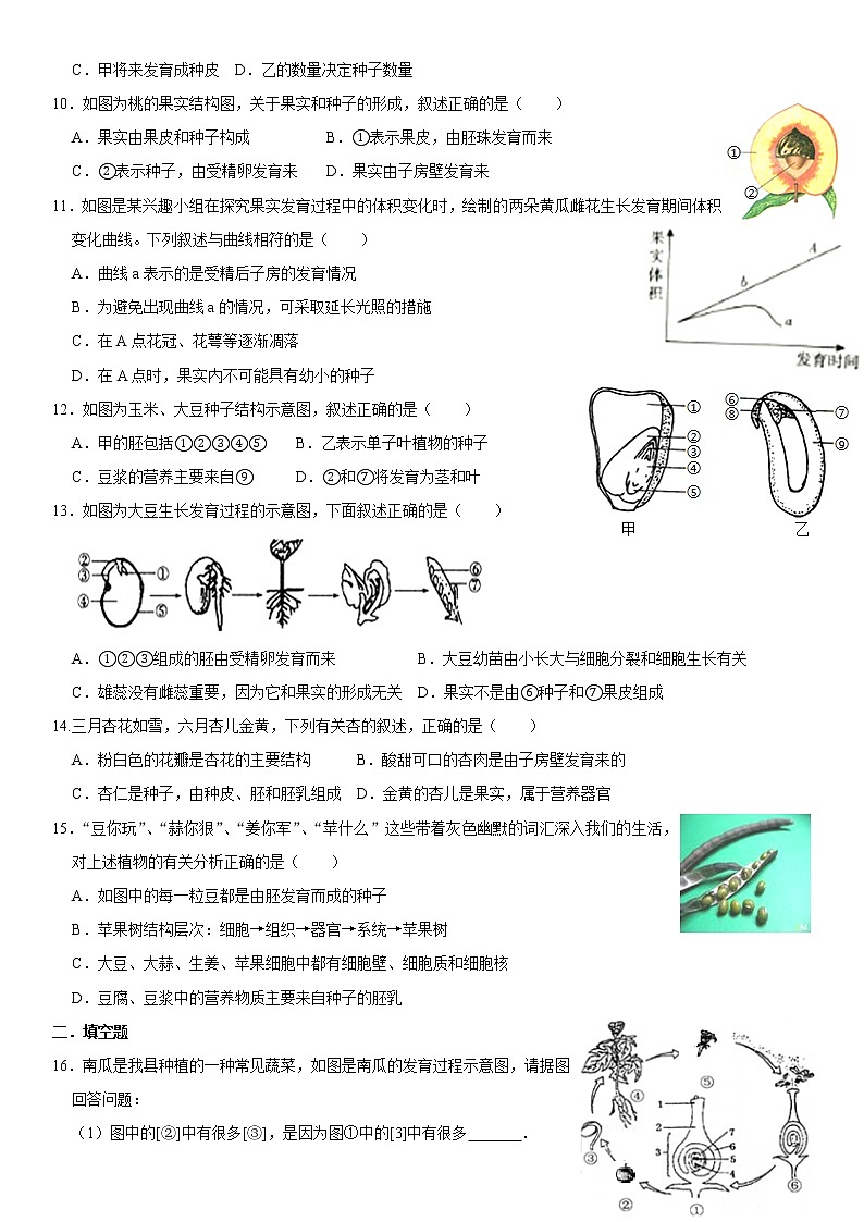 4.1.3 果实和种子的形成 同步练习（含答案）第2页