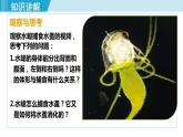 人教版八年级生物上册 第五单元 第一章 动物的主要类群 第一节 腔肠动物和扁形动物 课件