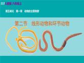 人教版八年级生物上册 第五单元 第一章 动物的主要类群 第二节 线形动物和环节动物 课件