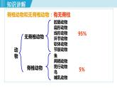 人教版八年级生物上册 第五单元 第一章 动物的主要类群 第四节 鱼 课件