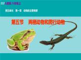 人教版八年级生物上册 第五单元 第一章 动物的主要类群 第五节 两栖动物和爬行动物 课件