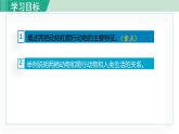 人教版八年级生物上册 第五单元 第一章 动物的主要类群 第五节 两栖动物和爬行动物 课件