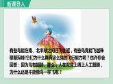 人教版八年级生物上册 第五单元 第一章 动物的主要类群 第六节 鸟 课件