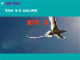 人教版八年级生物上册 第五单元 第一章 动物的主要类群 第六节 鸟 课件