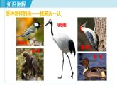 人教版八年级生物上册 第五单元 第一章 动物的主要类群 第六节 鸟 课件