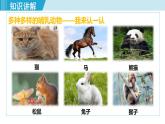 人教版八年级生物上册 第五单元 第一章 动物的主要类群 第七节哺乳动物 课件