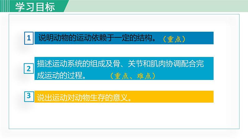 人教版八年级生物上册 第五单元 第二章 动物的运动和行为 第一节  动物的运动 课件第4页