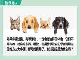 人教版八年级生物上册 第五单元 第二章 动物的运动和行为 第二节  先天性行为和学习行为 课件