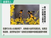 人教版八年级生物上册 第五单元 第三章 动物在生物圈中的作用 动物在生物圈中的作用 课件
