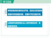 人教版八年级生物上册 第五单元 第三章 动物在生物圈中的作用 动物在生物圈中的作用 课件