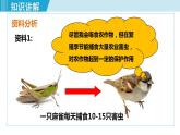 人教版八年级生物上册 第五单元 第三章 动物在生物圈中的作用 动物在生物圈中的作用 课件
