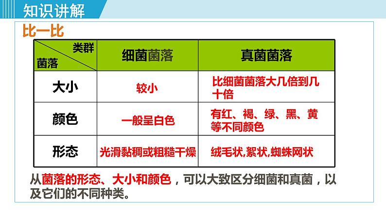 人教版八年级生物上册 第五单元 第四章 细菌和真菌 第一节细菌和真菌的分布 课件第8页