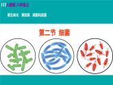 人教版八年级生物上册 第五单元 第四章 细菌和真菌 第二节 细菌 课件