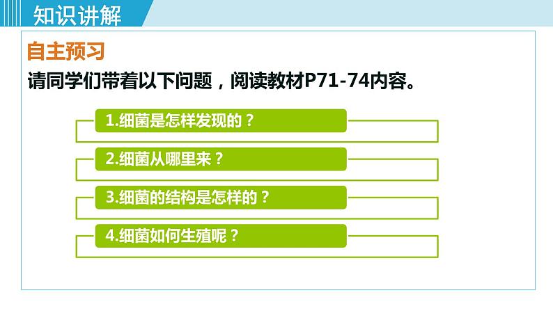 人教版八年级生物上册 第五单元 第四章 细菌和真菌 第二节 细菌 课件04