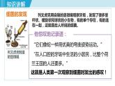 人教版八年级生物上册 第五单元 第四章 细菌和真菌 第二节 细菌 课件