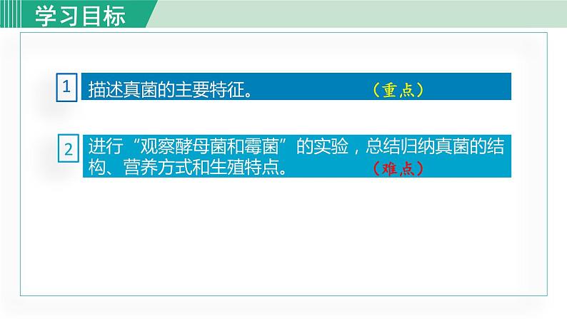 人教版八年级生物上册 第五单元 第四章 细菌和真菌 第三节 真菌课件03